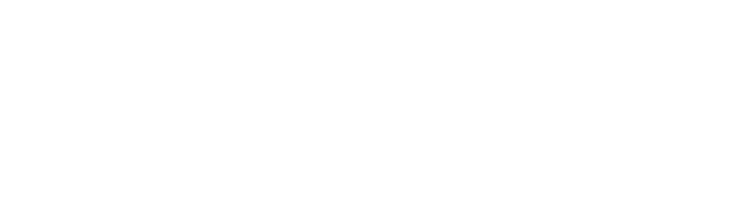 Sterling Infotech Logo