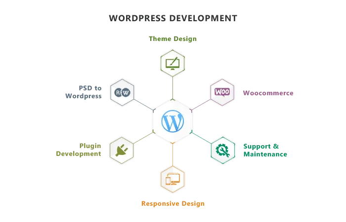 Custom website development showing responsive design across desktop, tablet, and mobile